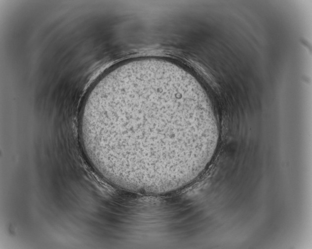 X0000096691212200803041254