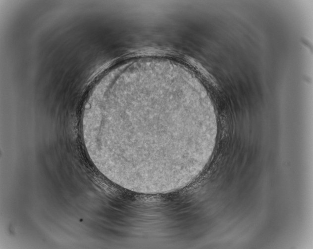 X0000096691213200803041254