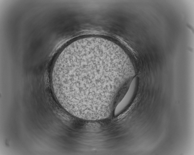 X0000096691215200803041254