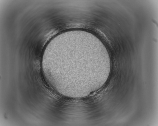 X0000096691218200803041254