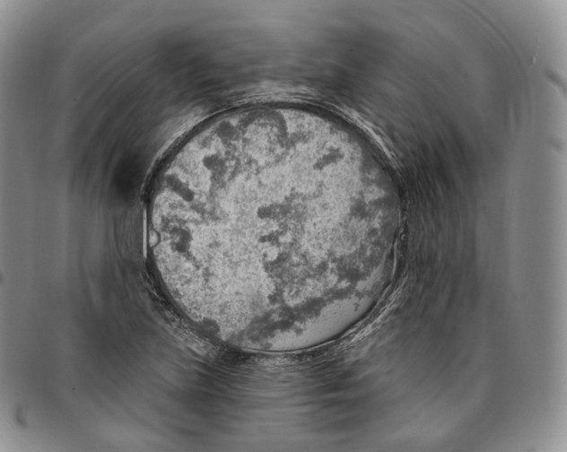 X0000096691219200803041254