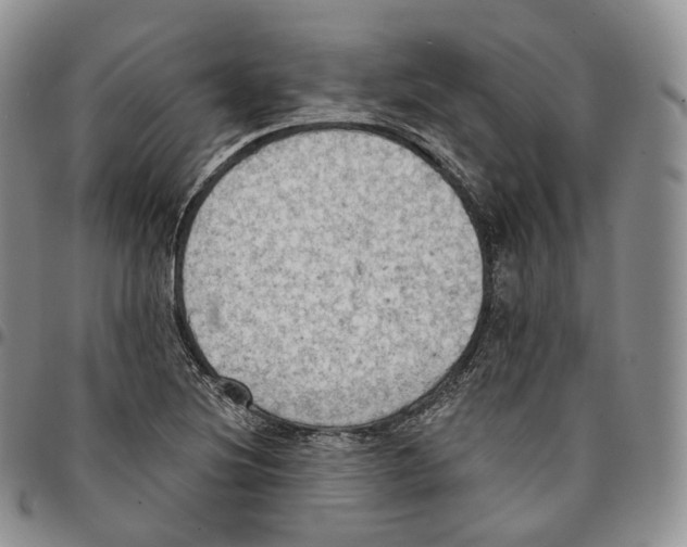 X0000096691220200803041254