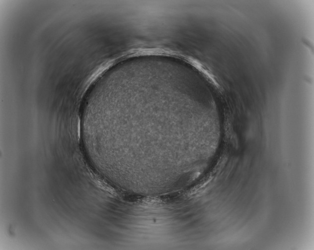 X0000096691221200803041254