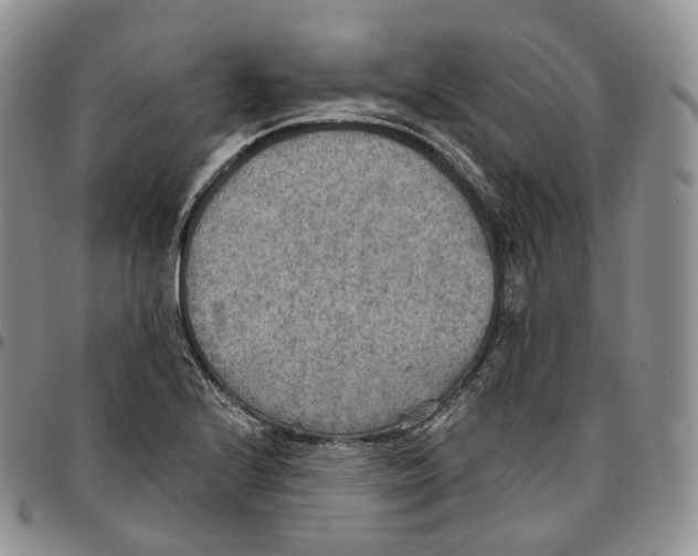 X0000096691224200803041254