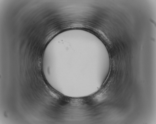 X0000096691225200803041254