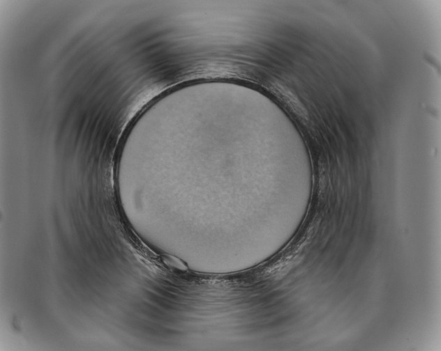 X0000096691226200803041254