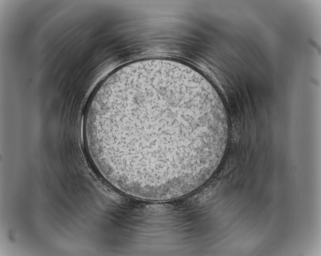 X0000096691227200803041254