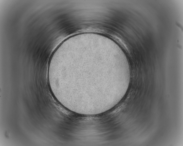 X0000096691228200803041254