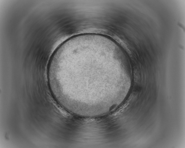 X0000096691230200803041254