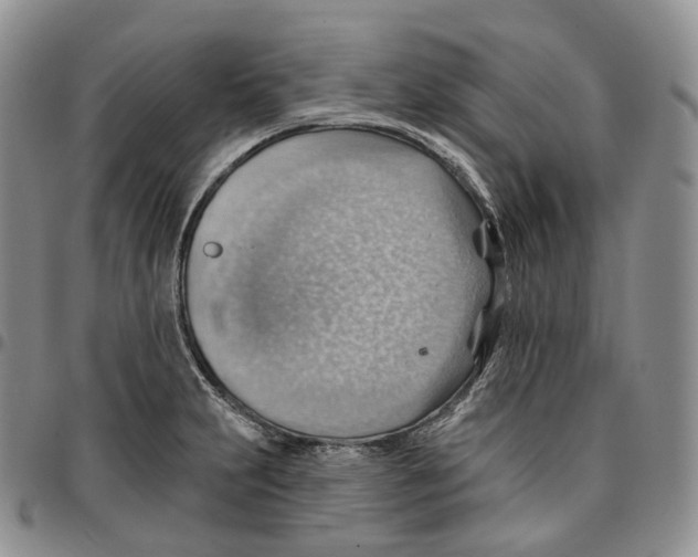 X0000096691231200803041254