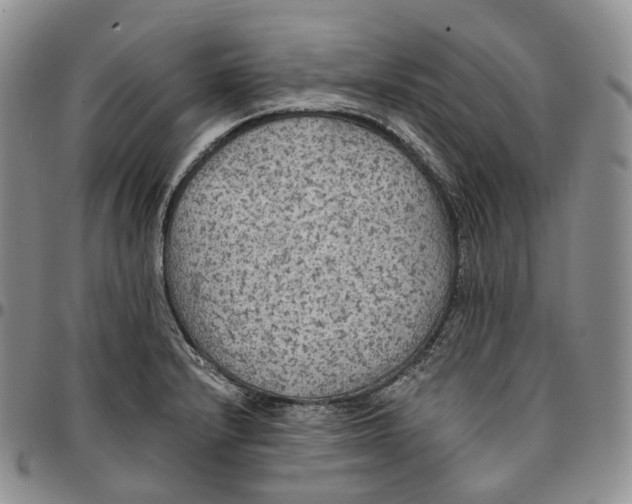 X0000096691232200803041254