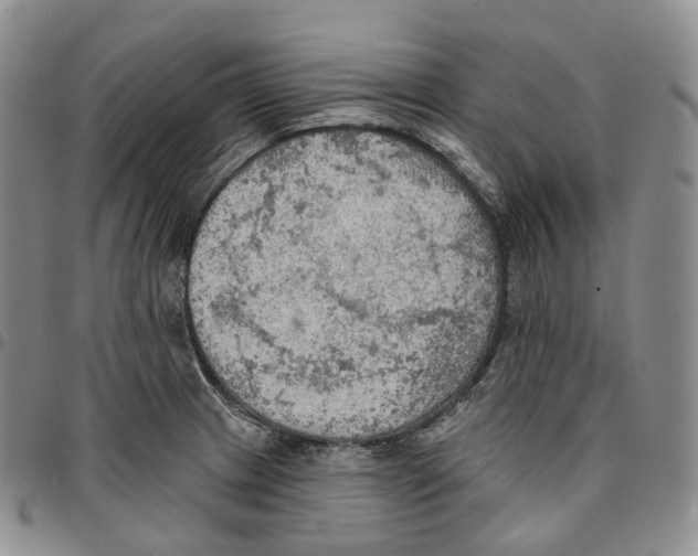 X0000096691233200803041254