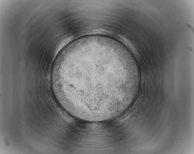 X0000096691234200803041254