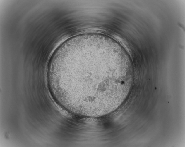 X0000096691235200803041254