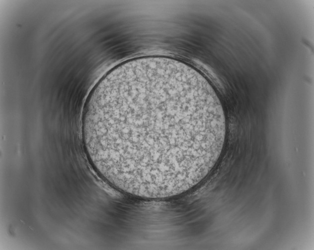 X0000096691236200803041254