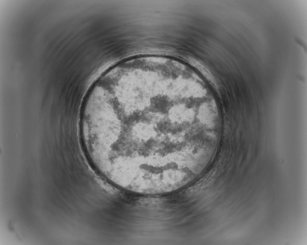 X0000096691237200803041254