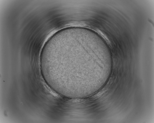 X0000096691240200803041254