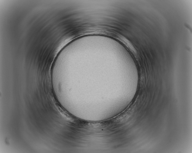 X0000096691242200803041254