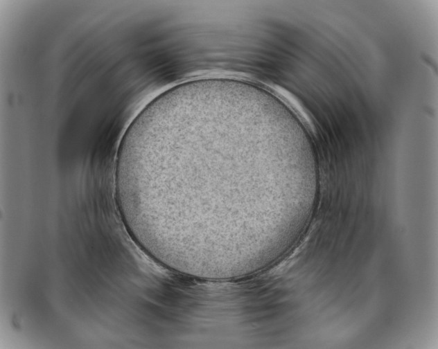 X0000096691244200803041254