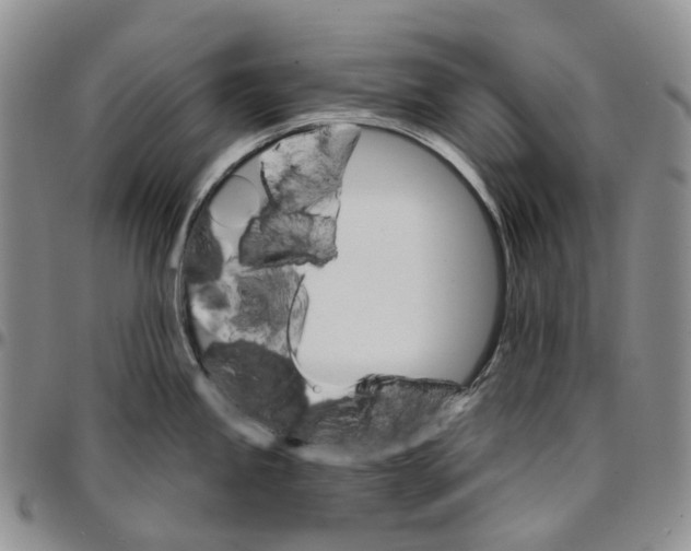 X0000096691245200803041254