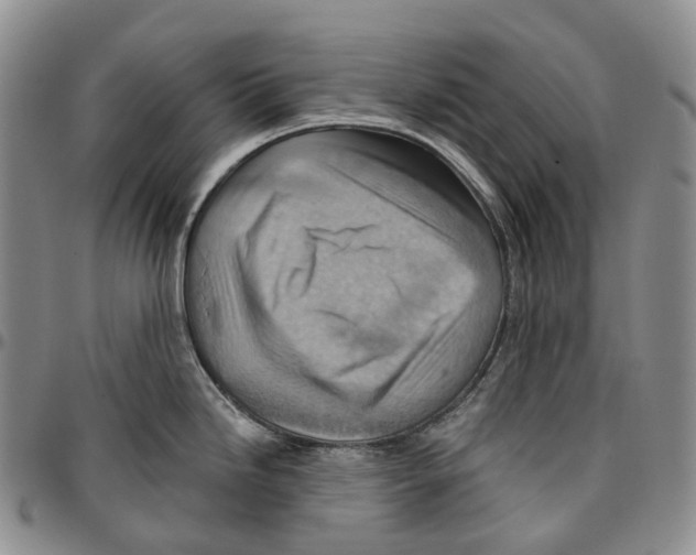 X0000096691246200803041254