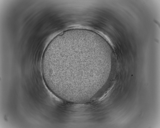 X0000096691247200803041254