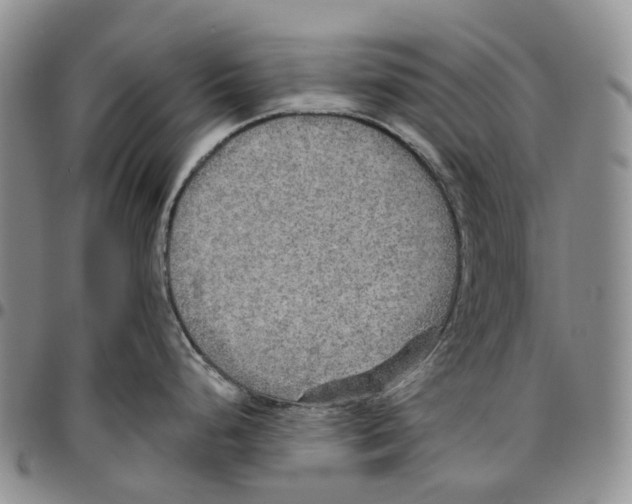 X0000096691248200803041254