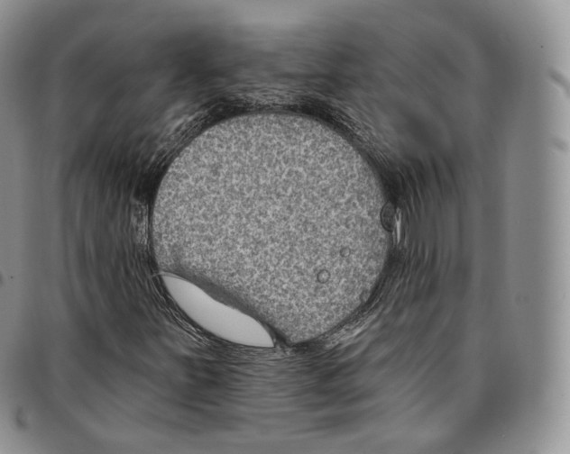 X0000096691251200803041253