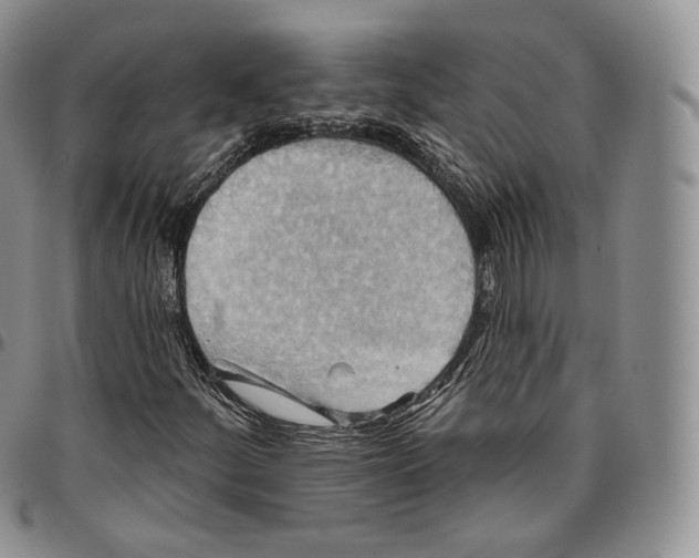 X0000096691252200803041253