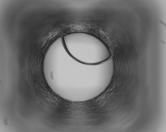 X0000096691253200803041253