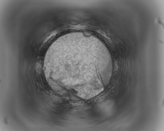 X0000096691254200803041253