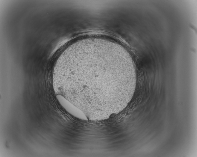 X0000096691255200803041253