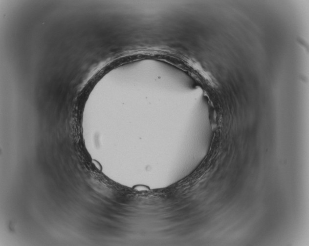 X0000096691256200803041253