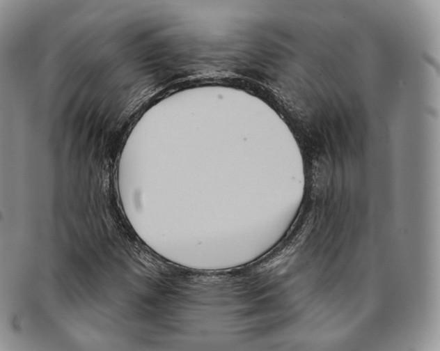 X0000096691257200803041253