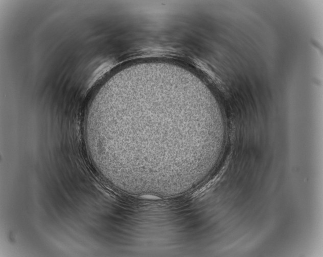 X0000096691259200803041253