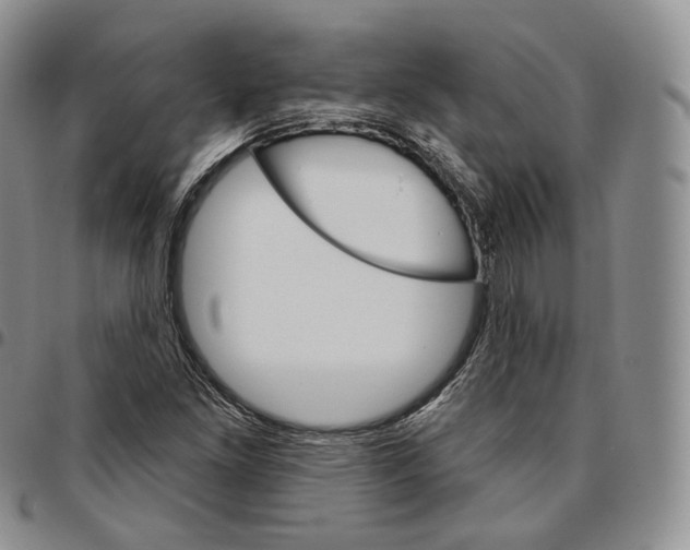 X0000096691261200803041253