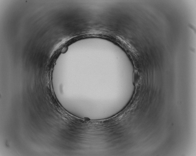 X0000096691262200803041253