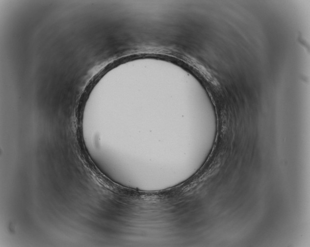 X0000096691264200803041253