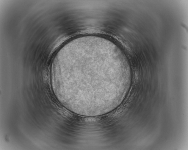 X0000096691266200803041253