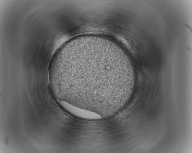 X0000096691267200803041253