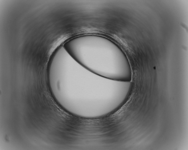 X0000096691269200803041253