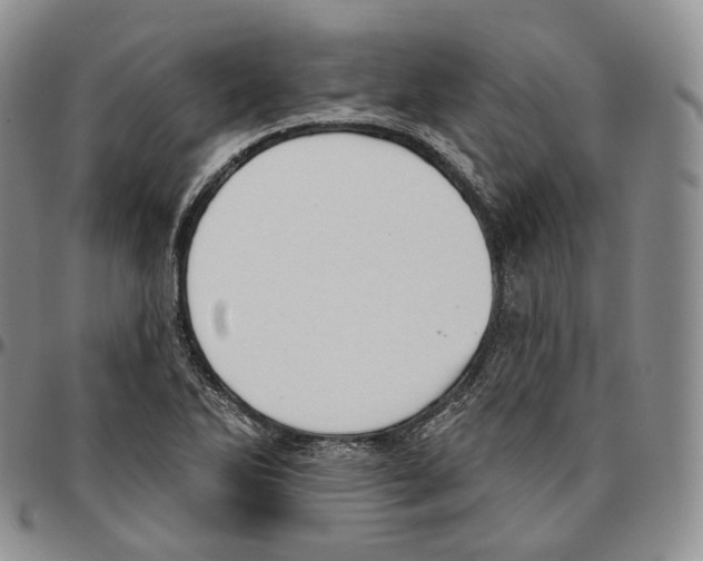 X0000096691270200803041253