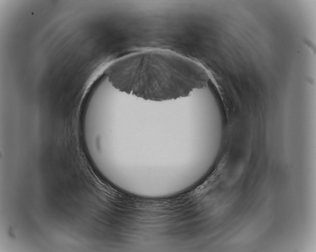 X0000096691271200803041253