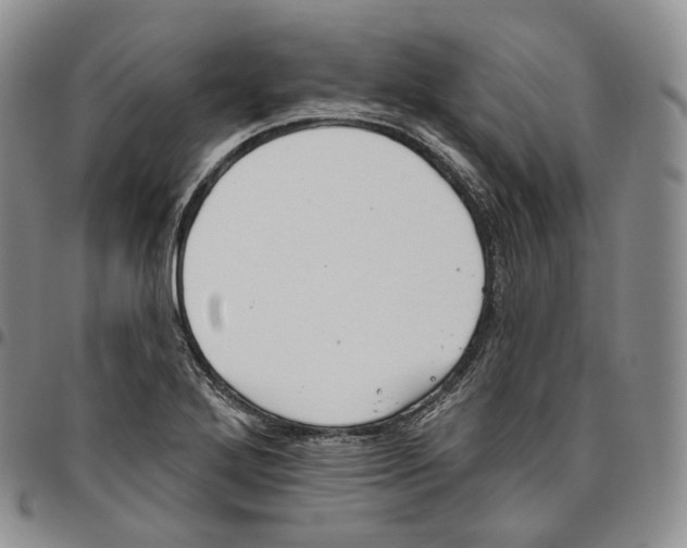 X0000096691272200803041253