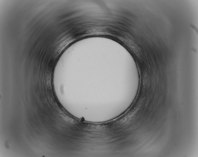 X0000096691273200803041253