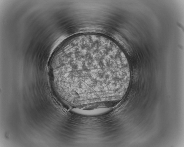 X0000096691275200803041253