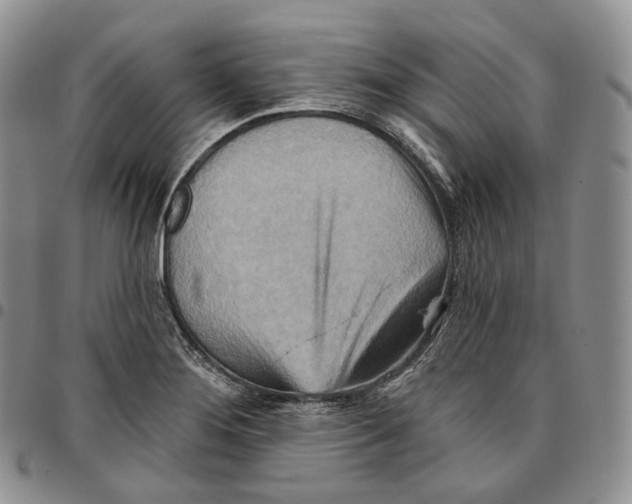 X0000096691276200803041253