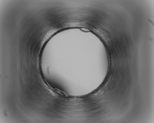 X0000096691277200803041253