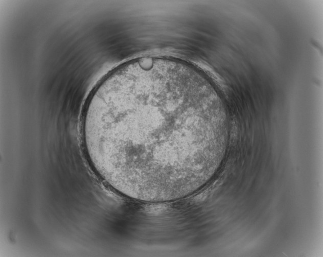 X0000096691278200803041253