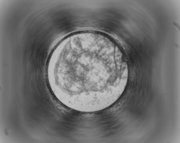 X0000096691279200803041253